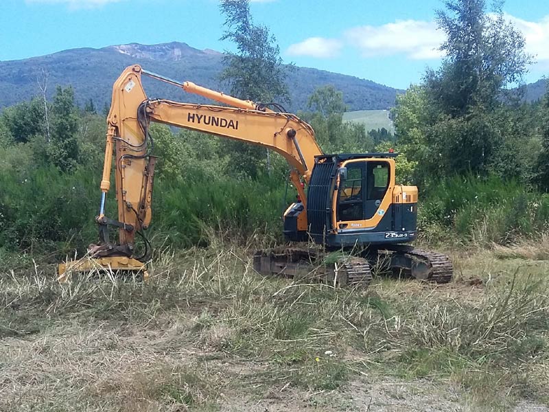 24 Ton Digger with Mulcher Services Taupo